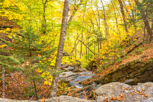 Boulders and a small stream run through the forests around Mount Greylock, MA © Keith J Sfinx