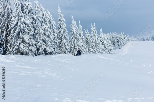 Beautiful winter landscape with snow covered trees © Angelov