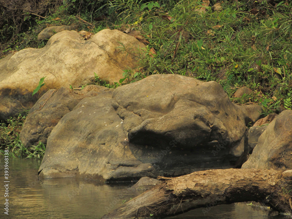 rocks in the river