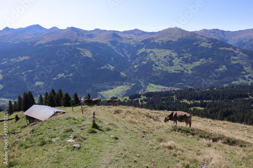 Luzein, Kanton Graubuenden (GR)/ Switzerland - September 21 2019: Mountain hiking tour in area Praettigau, Graubuenden photo