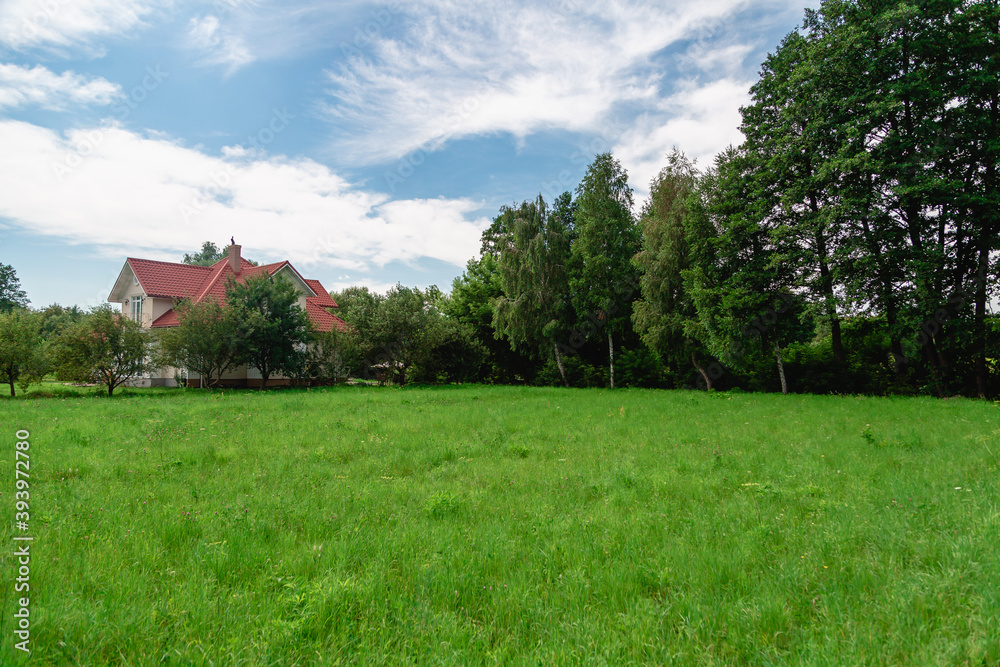 Summer landscape. Green meadow against trees Summer landscape. Green meadow against trees
