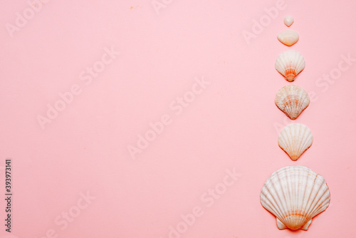 On a pink background laid out seashells  the mention of rest