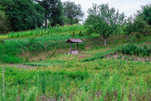 Summer landscape. Well on the hillside