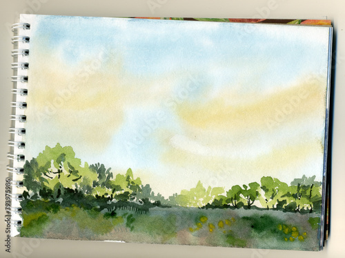 Landscape in watercolor in sketchbook. Net sky and bushes.