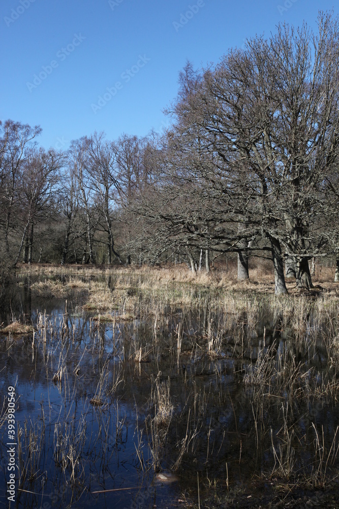 Fototapeta premium Degerhamn / Sweden - April 20 2013: Lanscape at the south tip of island Oeland (Öland) in south-east of Sweden