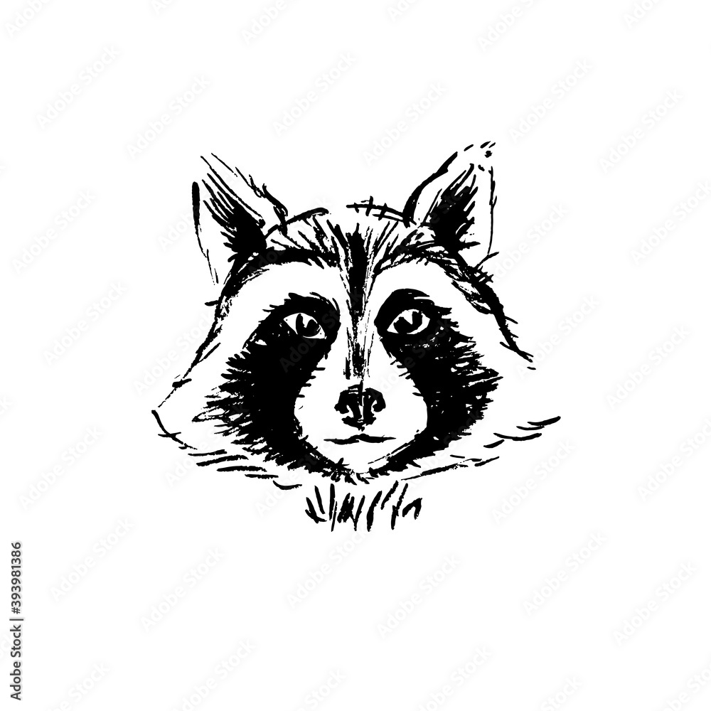 Cute raccoon face. Ink illustration