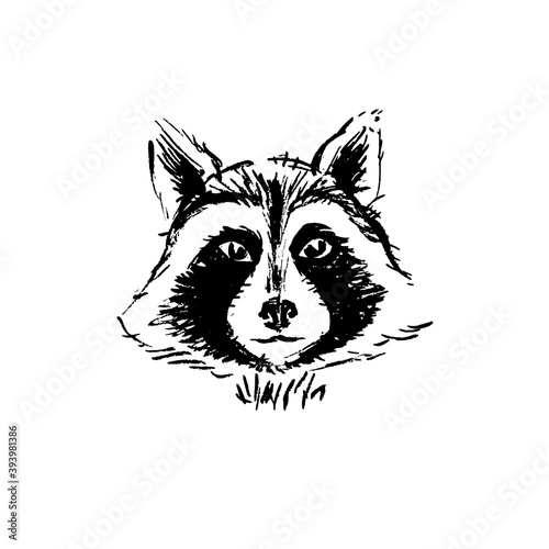 Cute raccoon face. Ink illustration