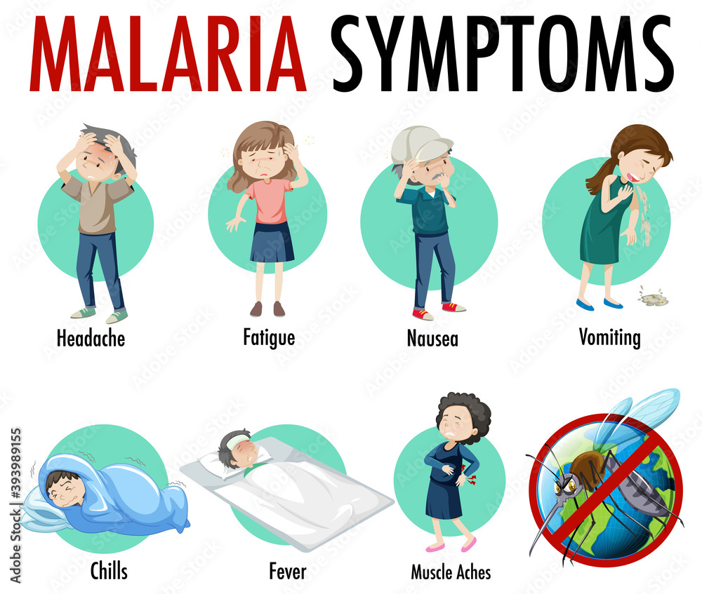 Malaria symptom information infographic Stock Vector Adobe Stock Malaria symptom information infographic Stock Vector Adobe Stock