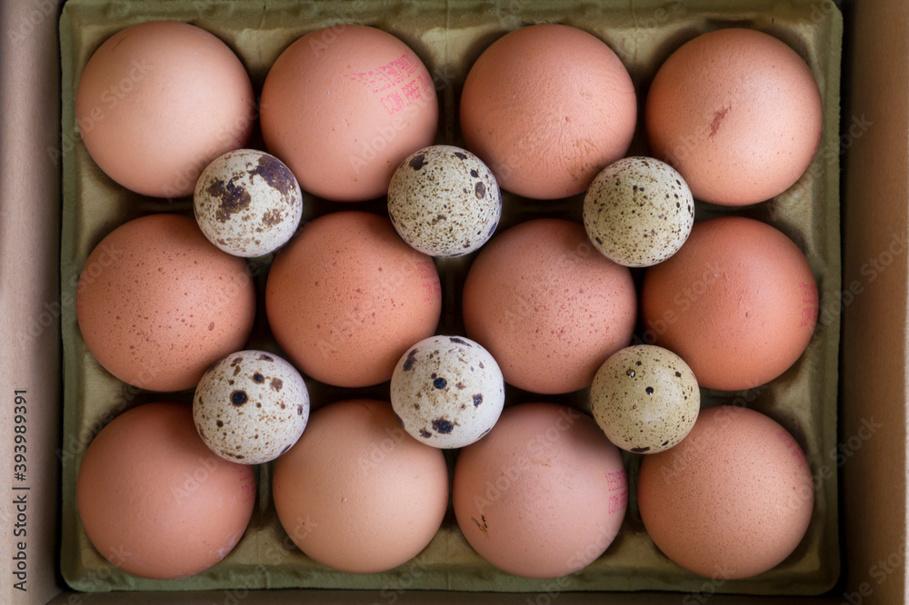 Eggs brown and small Eggs brown and small