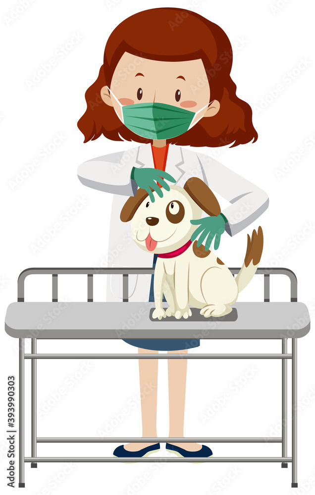Veterinarian wearing mask and examining dog position isolated Veterinarian wearing mask and examining dog position isolated