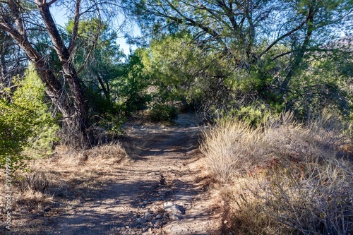 Footpath in O'Neill Regional Park, Trabuco Canyon, Orange County, California, USA 