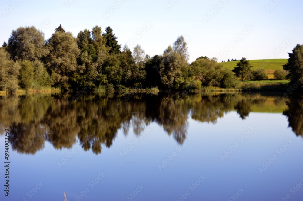 Reflektierende Bäume auf einem stillen See im Sommer
