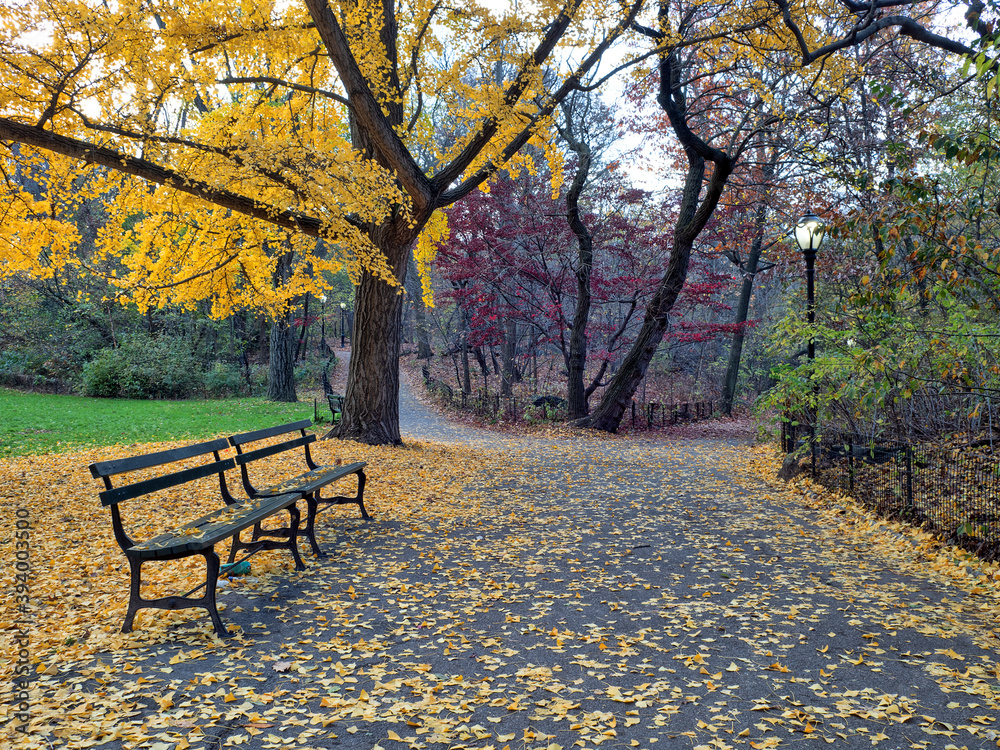 Autumn in Central Park