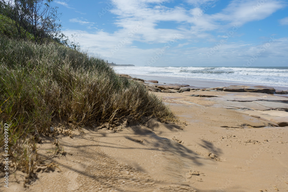 sand dunes on the beach