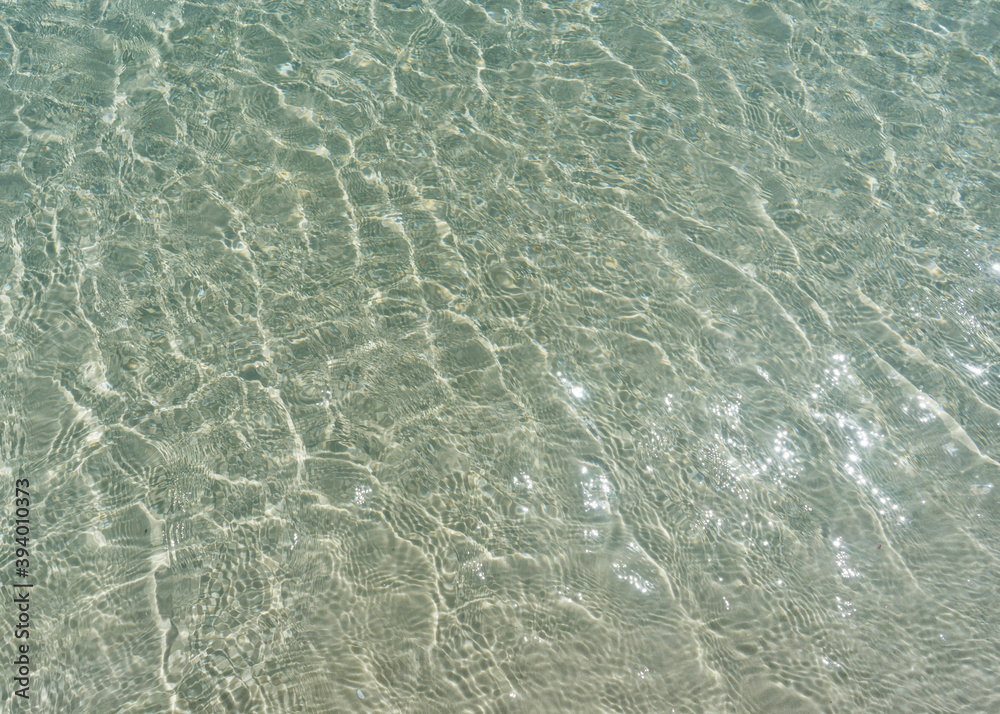 Fototapeta premium surface of the water