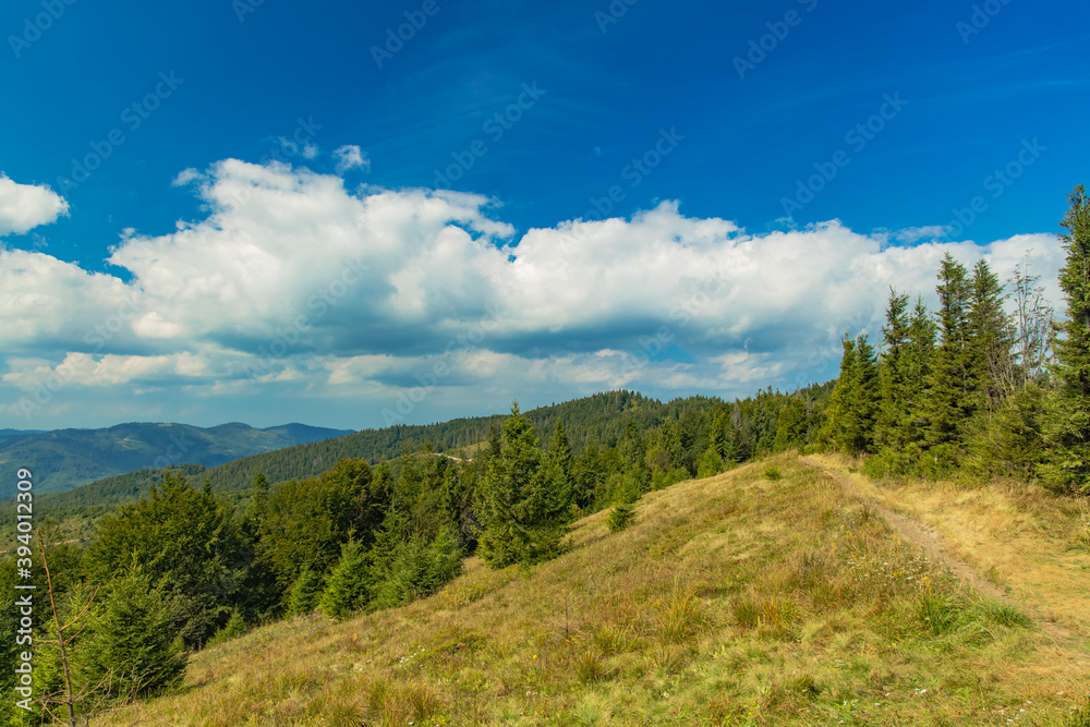 summer highland landscape mountain ridge tourist dirt trail route with green pine trees and beautiful view in clear weather day