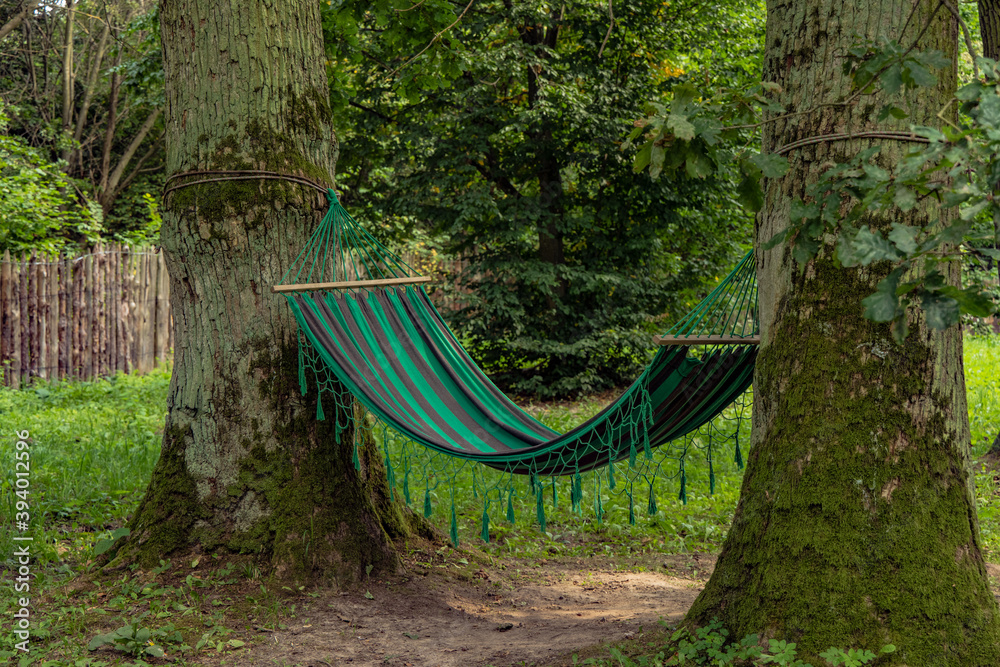 calm nature with hammock between trees peaceful summer day time with clean  environment space without people Photos | Adobe Stock