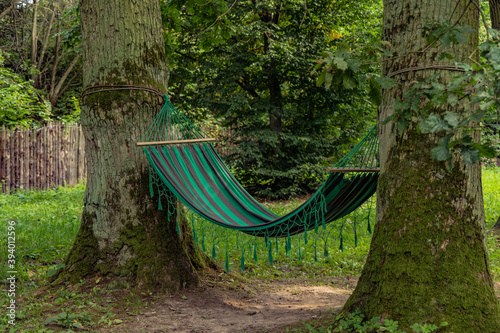 calm nature with hammock between trees peaceful summer day time with clean environment space without people
