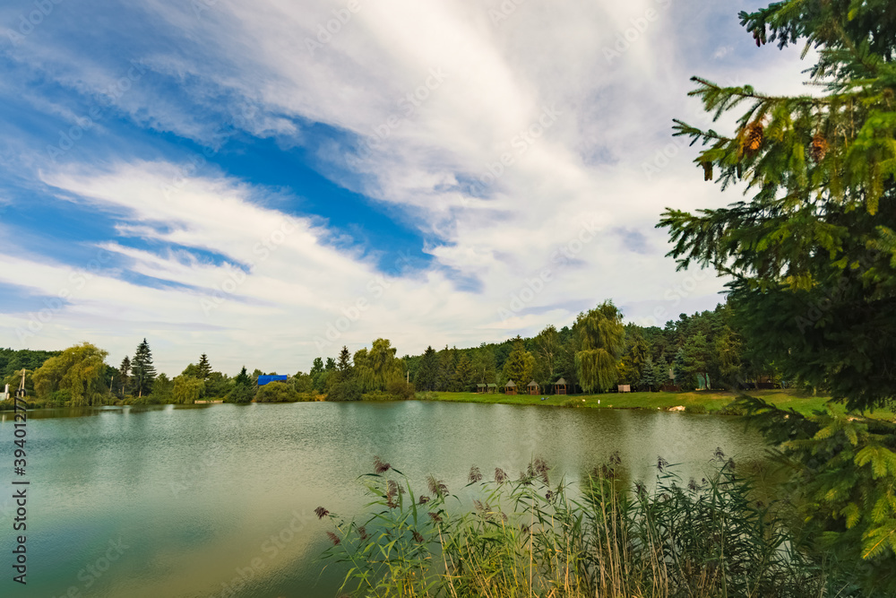 Obraz premium nature photography landscape summer clear weather morning time pond reservoir with green trees scenic environment space June