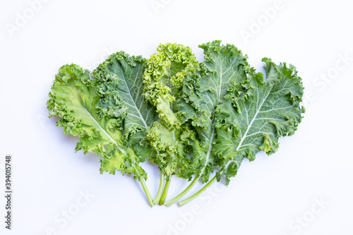 Fresh kale leaves salad vegetable on white background.