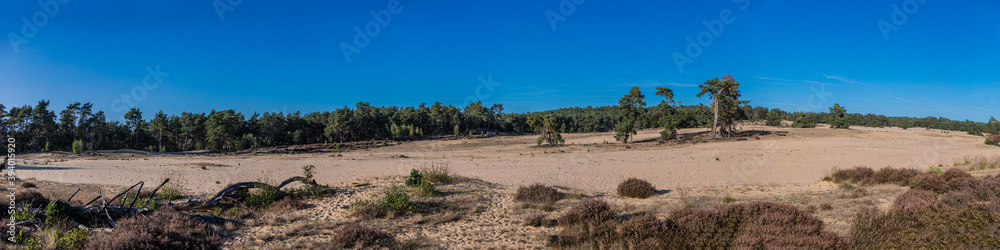 The sand drift on the Rozendaalse heide near Velp The sand drift on the Rozendaalse heide near Velp