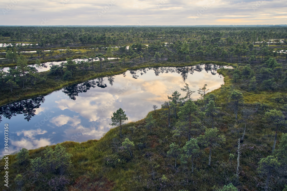 Raised bog, view from above. Kemeri National park in Latvia.