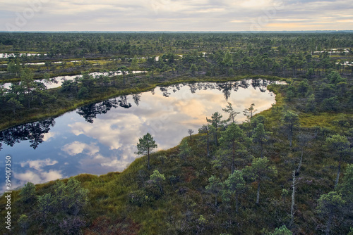 Raised bog, view from above. Kemeri National park in Latvia. © Laima Gri