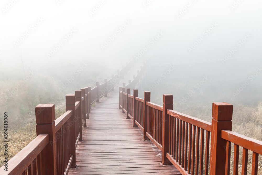 The wooden steps in the forest disappeared in the thick fog