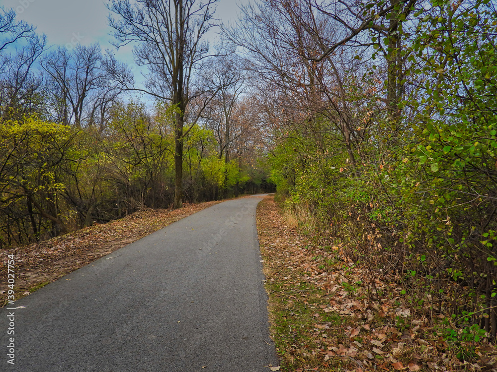 Path in the woods: Paved path curves into the forest on a late autumn day with a mix of bare trees and some with a few fall-colored leaves, fallen leaves on the side of the trail