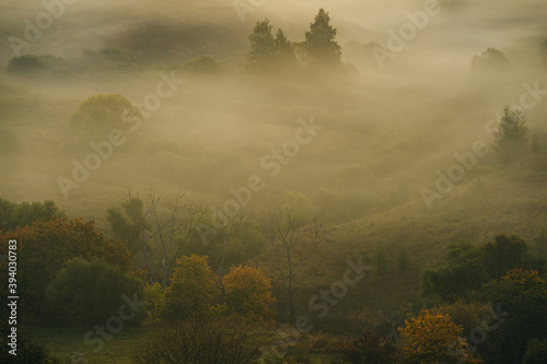 fog in the mountains © Evgenii Ryzhenkov