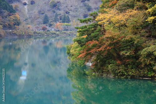 日本の渓谷の紅葉