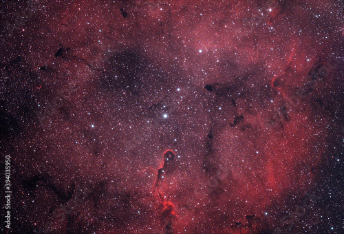 Elephant Trunk Nebula (IC 1396)