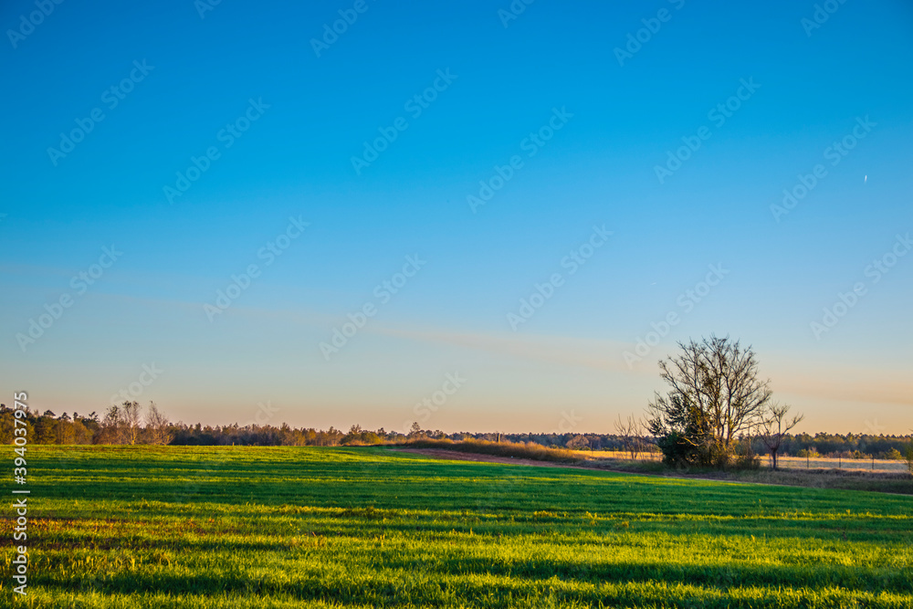 A green field and farm land in the country A green field and farm land in the country