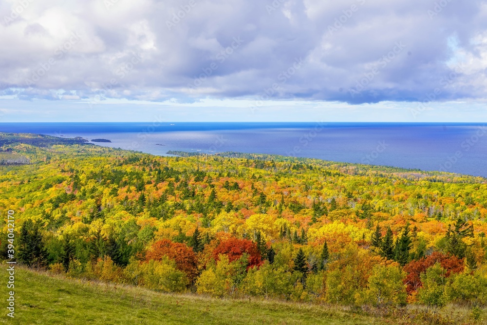 Colorful Autumn trees along Lake Superior