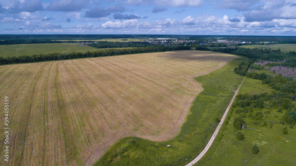 Mown field in June rural landscape (aerial photography). Leningrad region, Russia