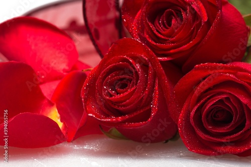 Canvas-taulu Closeup of red roses with dew drops