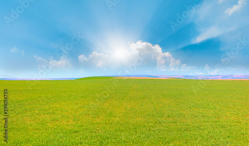 Beautiful landscape with green grass field, sun rays in the background