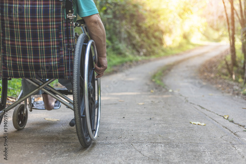 disabled male in a wheelchair in a garden