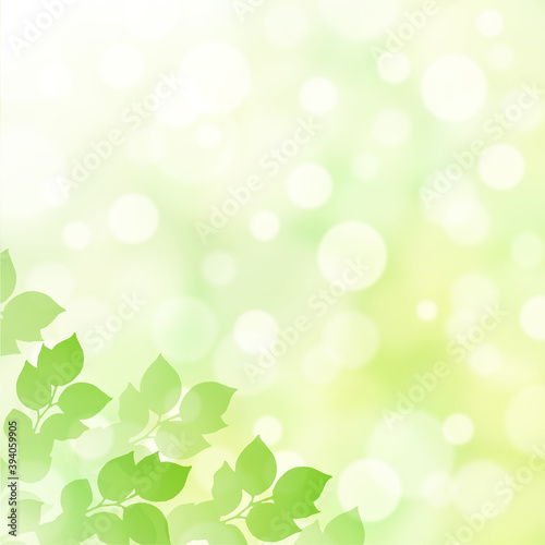 【キラキラ背景画像素材】新緑と木漏れ日の背景 正方形 左下
