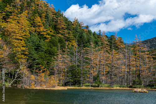 晴天の上高地 黄葉の山々と明神池