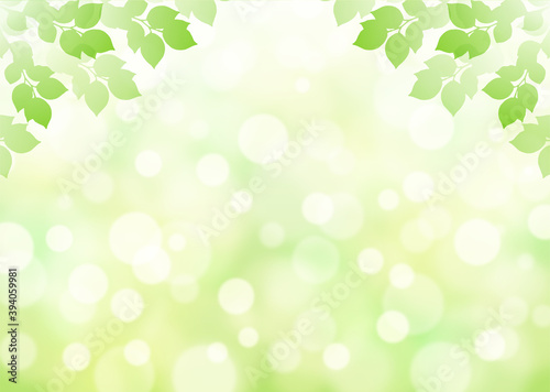 【キラキラ背景画像素材】新緑と木漏れ日の背景 横位置 上