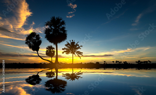 Panorama silhouette palm tree in Maldives with sunset.Tree silhouetted against a setting sun reflection on water.Typical Asian sunset with coconut trees in Maldives,ASIA.