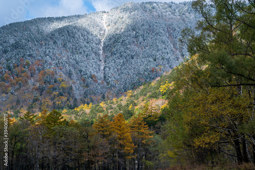 晩秋の上高地 黄葉の山肌と雪化粧のコラボレーション