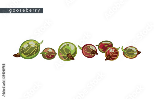 sketch_gooseberry_seven_berries photo