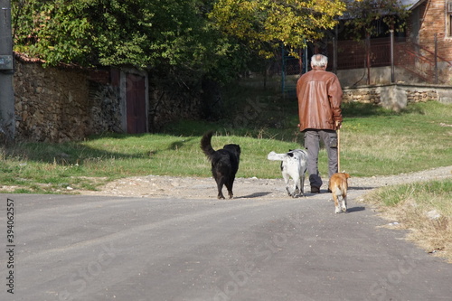 A balding man with gray hair with a brown leather jacket and a cane walks down an asphalt street, accompanied by a pack of dogs