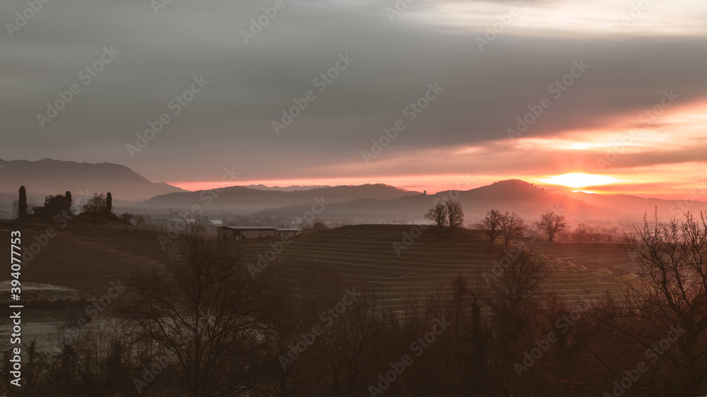 Fototapeta premium Cold misty morning in the vineyards of Italy