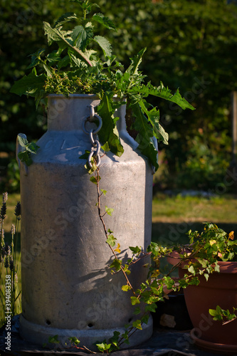 Grand pot a lait deco jardin