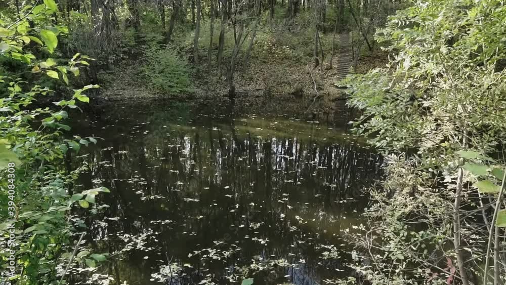 Pond in the forest during autumn. Trees are reflected in the pond. Pond in the forest during autumn. Trees are reflected in the pond.