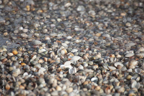 pebbles on the beach