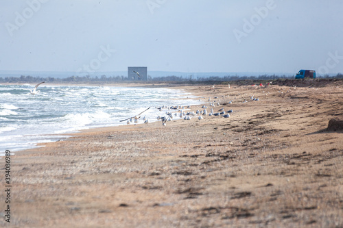 beach and sea 